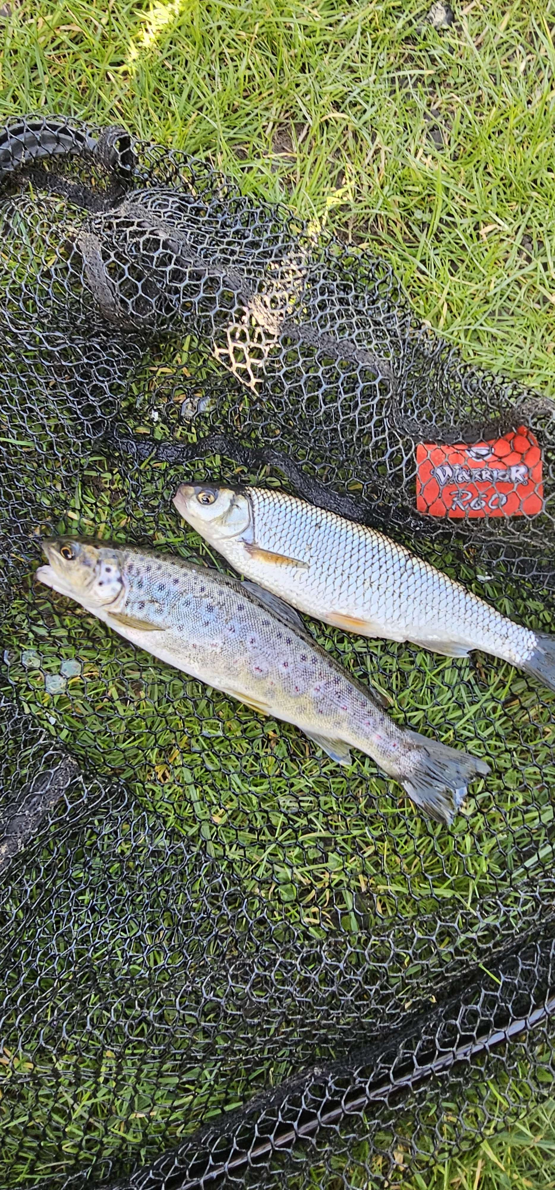 Fishing in England
