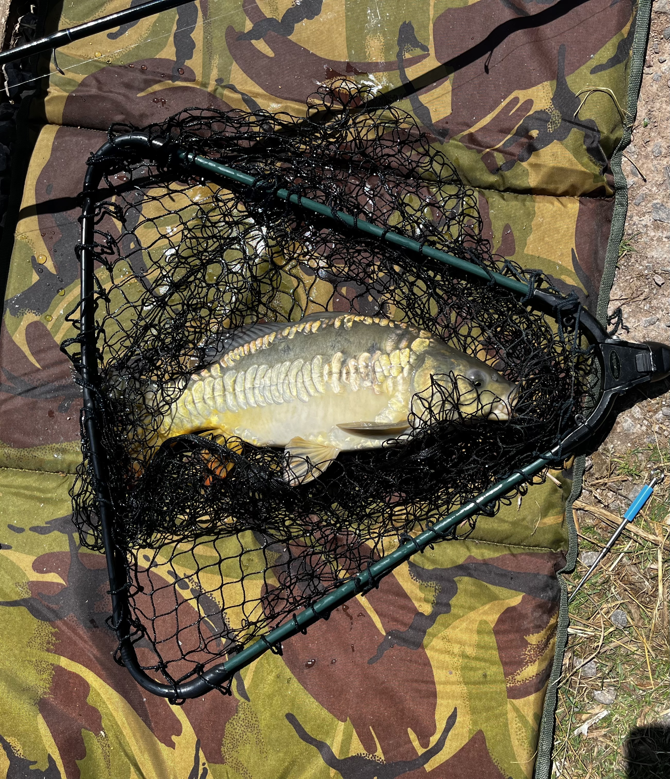 Fishing in England