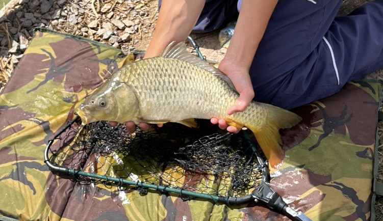 Fishing in England