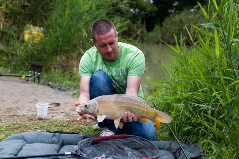 Common carp in Bristol
