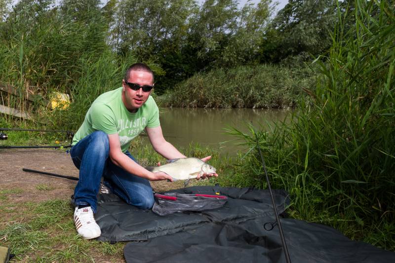 Common carp in Bristol