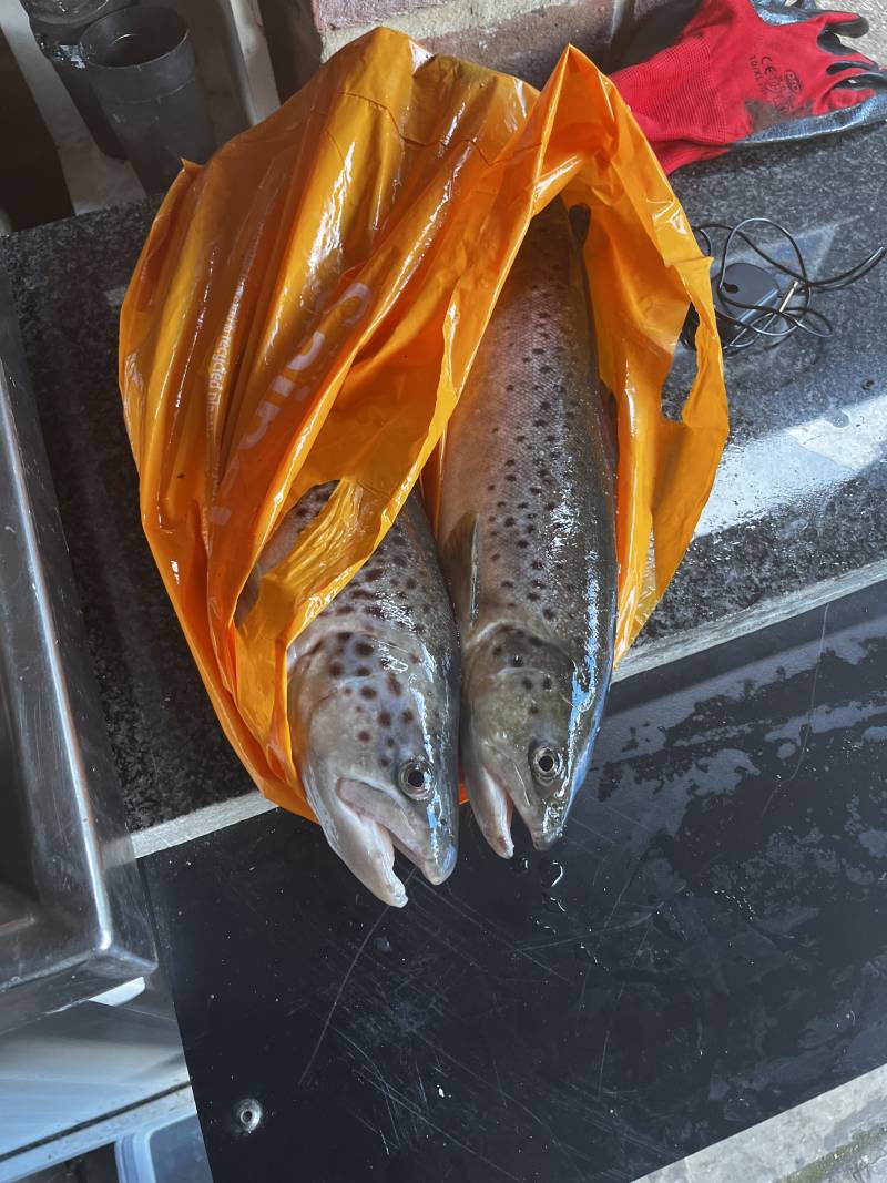 Fishing in United Kingdom