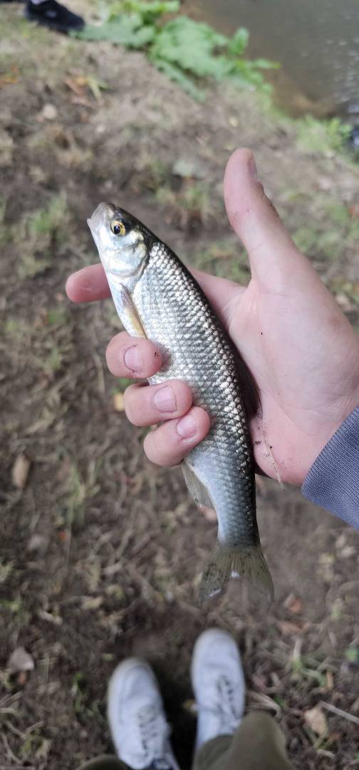 Fishing in United Kingdom