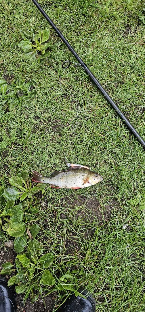 Fishing in United Kingdom
