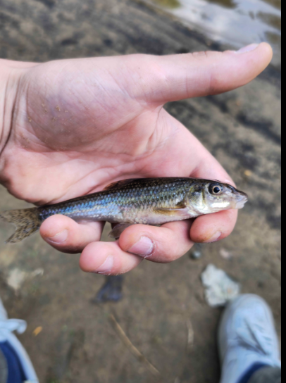 Fishing in United Kingdom