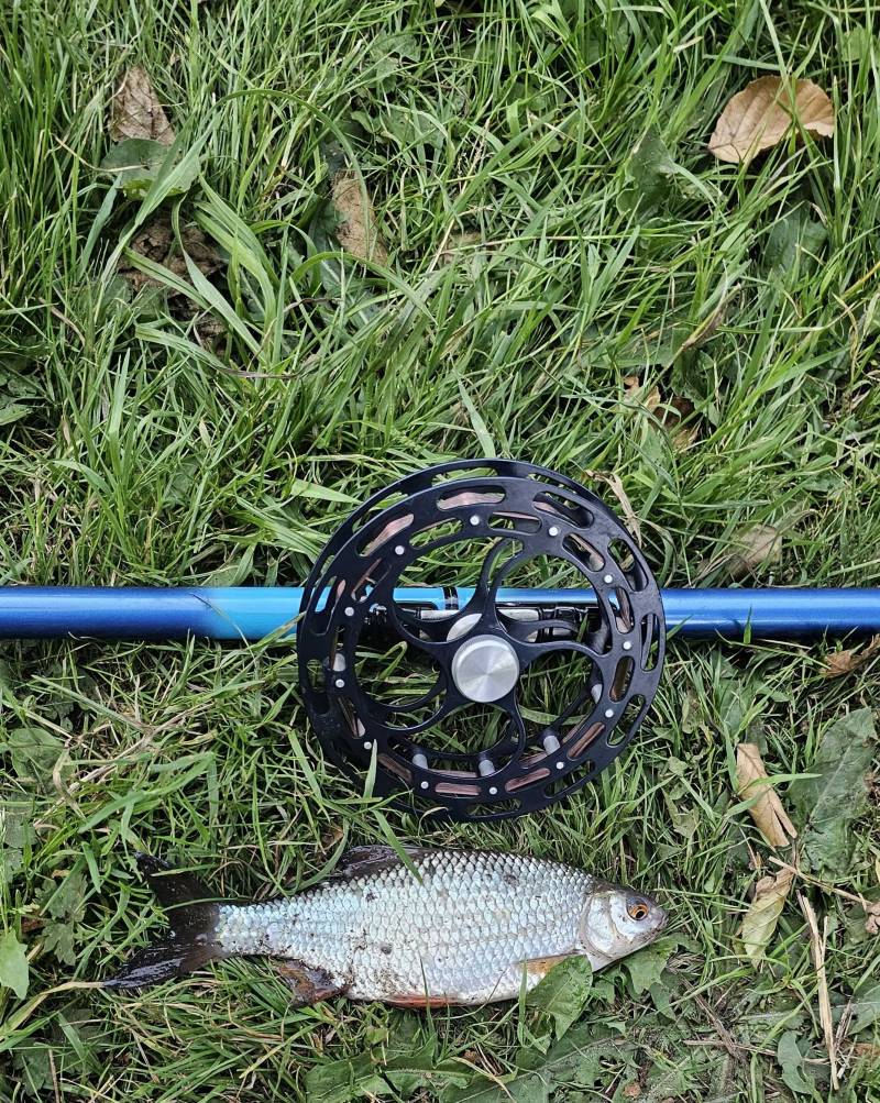 Fishing in United Kingdom