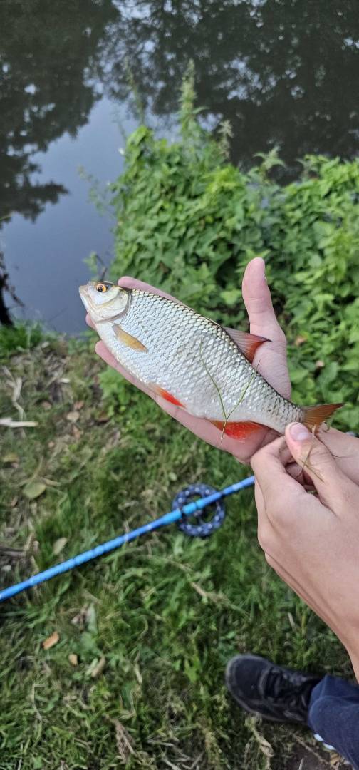 Fishing in United Kingdom