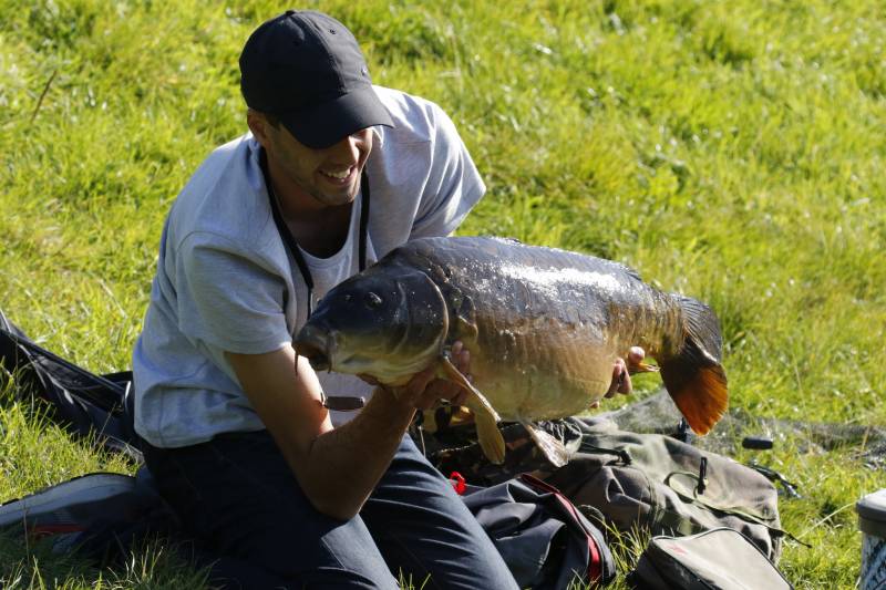 Mirror carp in Wigan