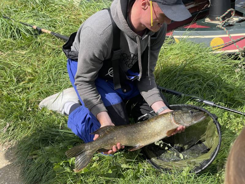Northern pike in Preston